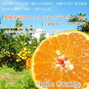 【送料無料】愛媛産 訳あり コクうまっデコみかん 5kg  ご家庭用 サイズ不揃い 不知火 デコポン みかん 柑橘 柑橘類 フルーツ 【※送料無料は一部地域を除く】