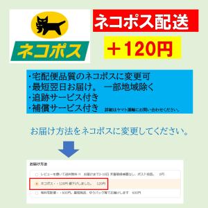 互換ボタン電池 使用推奨期限 2034年 2個...の詳細画像3