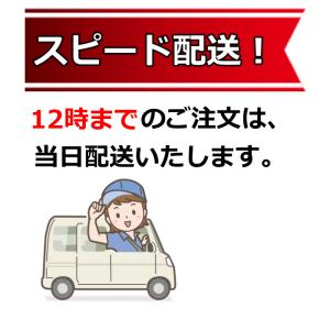 シック ハイドロ5 上位モデル カスタム ハイ...の詳細画像2