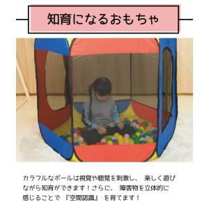 ボールプール カラーボール ボールテント ボー...の詳細画像5