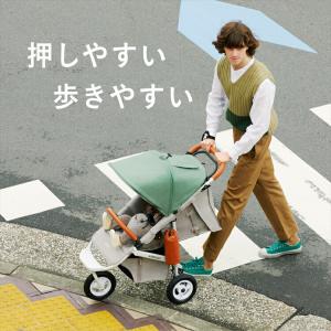 エアバギー ココ ブレーキEX 【正規販売店】...の詳細画像2