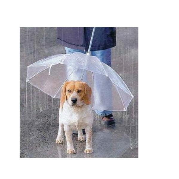 ペット用 傘 小型犬から中型犬まで ペットアンブレラ 犬 傘 犬用 ペット アンブレラ ドッグアンブ...