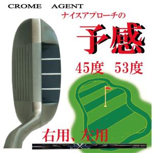 ゴルフクラブ チッパー ファンタストプロ ジーアイテン69 両面チッバー