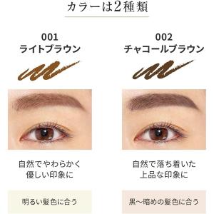 パピリオ ステイブロウG リフィル 詰替え用 ...の詳細画像1