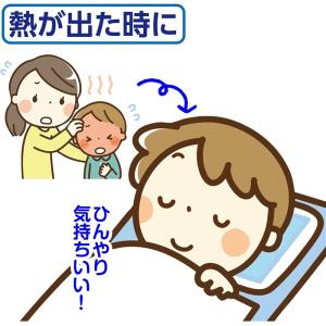 アイス枕 カバー 保冷剤用メッシュケース 冷や...の詳細画像3