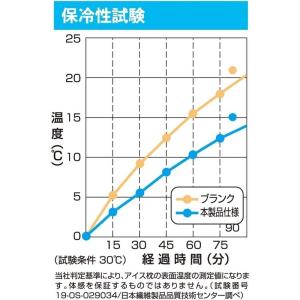 アイス枕 カバー サラッとひんやり快眠アイス枕...の詳細画像4