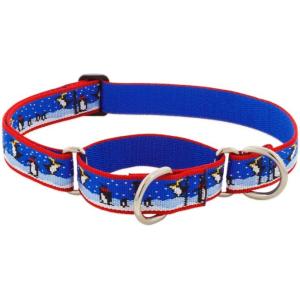 ハーフチョークカラーＭサイズ（３８〜55ｃｍ）中〜大型犬用２５ｍｍ幅　LUPINEルパイン