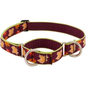 ハーフチョークカラーＭサイズ（３８〜55ｃｍ）中〜大型犬用２５ｍｍ幅　LUPINEルパイン