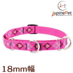 ハーフチョークカラーＬサイズ（４４〜６８ｃｍ）　LUPINE　ルパイン