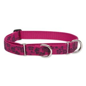 ハーフチョークカラーＭサイズ（３８〜55ｃｍ）中〜大型犬用２５ｍｍ幅　LUPINEルパイン