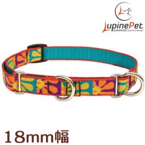 ハーフチョークカラー　Sサイズ・クレイジーデイジー柄　２５〜３５ｃｍ　LUPINE　ルパイン　アメリカ製　Crazy