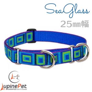 ハーフチョークカラーＭサイズ（３８〜55ｃｍ）中〜大型犬用２５ｍｍ幅　LUPINEルパイン