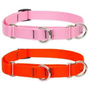 ハーフチョークカラーSサイズ（２５〜３５ｃｍ）１８ｍｍ幅　LUPINE　ルパイン