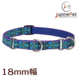 ハーフチョークカラーSサイズ（２５〜３５ｃｍ）　LUPINE　ルパイン