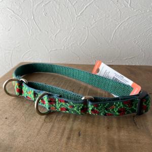 ハーフチョークカラーＭサイズ（３４〜５０ｃｍ）　LUPINE　ルパイン