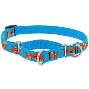 ハーフチョークカラーMサイズ（３４〜５０ｃｍ）　１８ｍｍ幅　LUPINE　ルパイン