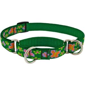 ハーフチョークカラーSサイズ（２５〜３５ｃｍ）　１８ｍｍ幅　LUPINE　ルパイン