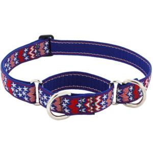 ハーフチョークカラーＭサイズ（３８〜55ｃｍ）中〜大型犬用２５ｍｍ幅　LUPINEルパイン