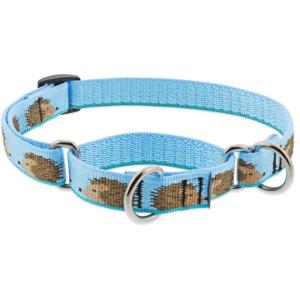 ハーフチョークカラーＭサイズ（34〜50ｃｍ）　LUPINE　ルパイン