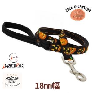 ルパイン リード 約120cm長 約18mm幅 ７本 120cmリード スター＆ストライプ柄18mm幅 LUPINE ルパイン パッド