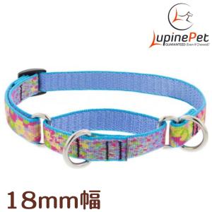 ハーフチョークカラーMサイズ（34〜50ｃｍ）　LUPINE　ルパイン　Cottage