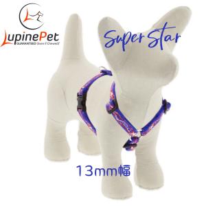 【ハーネス胴回り23〜33cm】スーパースター柄13mm幅 小型犬用　アメリカ直輸入　LUPINE Super Star｜smiledog1779