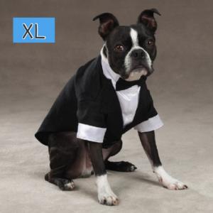 犬用タキシード　XLサイズ　中型犬よりの大型犬用　胴回り60-74cm　アメリカ直輸入