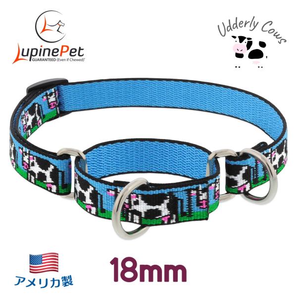 ハーフチョークカラー・Sサイズ・18mm幅　うし柄 Udderly Cows　25-35cm　LUP...