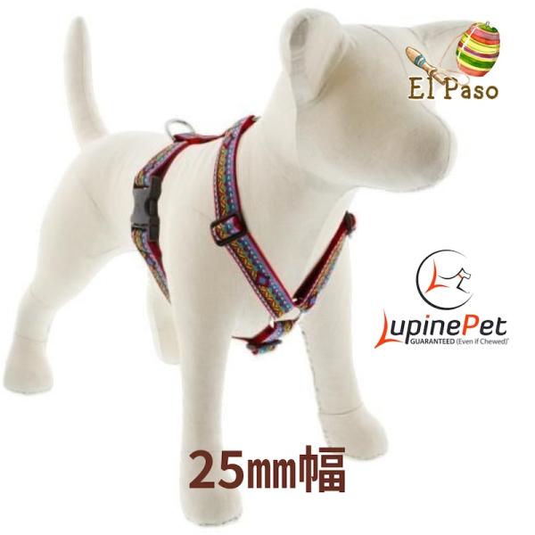 ローマンハーネス・Lサイズ　25mm幅 エルパソ柄 El paso 50−80cm　LUPINEルパ...