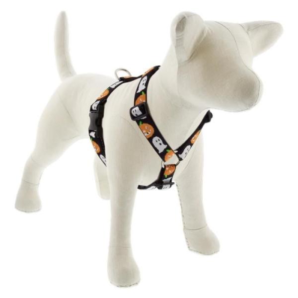 ローマンハーネス・Lサイズ　25mm幅 ゴースト柄 50−80cm　LUPINEルパイン アメリカ製...