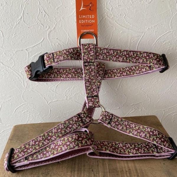 ローマンハーネス・Lサイズ　25mm幅 チェリーブロッサム柄 50−80cm　LUPINEルパイン ...