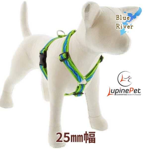 ローマンハーネス・Lサイズ　25mm幅 ブルーリバー柄 50−80cm　LUPINEルパイン アメリ...