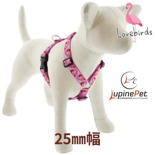 ローマンハーネス・Lサイズ　25mm幅ラブバード　Lovebirds柄　50−80cm　LUPINE...