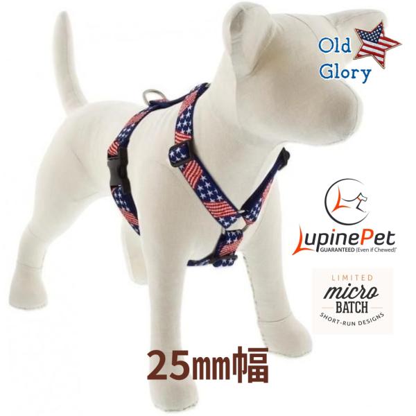 ローマンハーネス・Lサイズ　25mm幅 オールドグローリー柄Old Glory　50−80cm　LU...