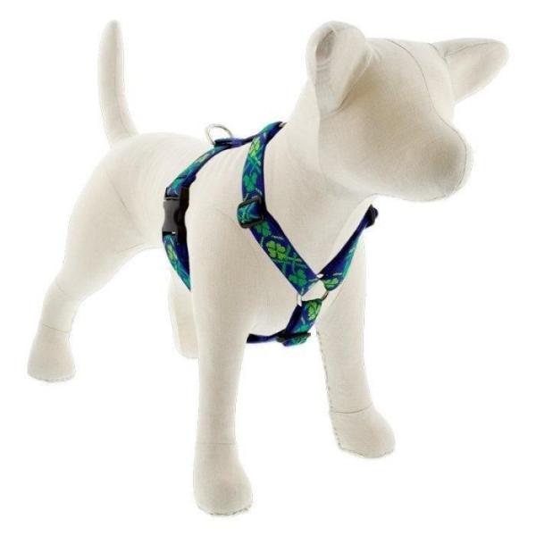 ローマンハーネス・Lサイズ　25mm幅 ラッキー柄　50−80cm　LUPINEルパイン アメリカ製...