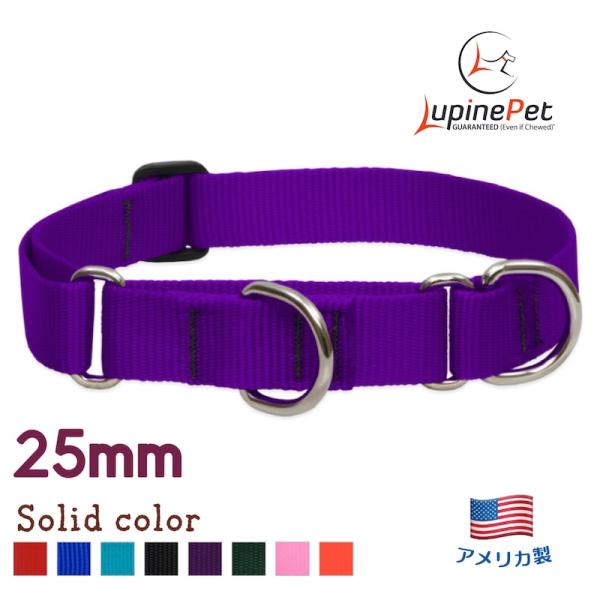 ハーフチョークカラー・Mサイズ・25mm幅　単色パープル　38-55cm　LUPINEルパイン アメ...