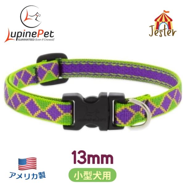 ジェスター柄 小型犬向けワンタッチ首輪13mm幅XSサイズ 15-22cm LUPINE アメリカ製...