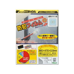 BGF4739 防犯フィルム透明ガラス用 2枚入 00873119-001 【光】