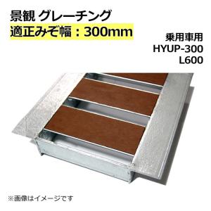 景観グレーチング 細目型 600サイズ 適正みぞ幅 300mm (乗用車用) 長さ600mm 幅290mm 高さ32mm HYUP-300L600 (代引き不可)｜smilegarden-ex