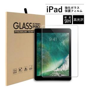 ネコポス iPad強化ガラスフィルム iPad mini4 mini5 iPad