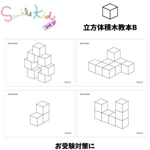 お受験】角積木 教本A ニキーチン 立方体積み木 パターンブック お