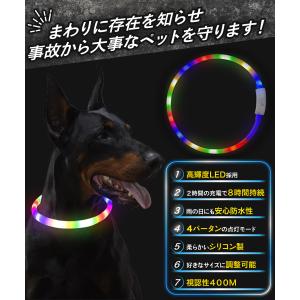 犬 光る首輪 点灯 光る led 首輪 光る ...の詳細画像1