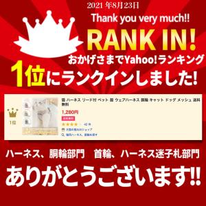 猫 ハーネス リード付 ペット 服 ウェアハー...の詳細画像3