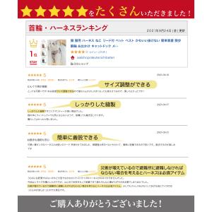 猫 ハーネス リード付 ペット 服 ウェアハー...の詳細画像4