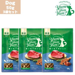 ヤムヤムヤム 健康マネジメント 腎臓 ドライタイプ 1.3kg 2袋セット 犬