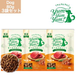 ヤムヤムヤム 健康マネジメント 腎臓 ドライタイプ 1.3kg 2袋セット 犬
