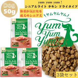 yum ハイシニア 13+ チキン やわらかドライタイプ 80g 1袋 正規品