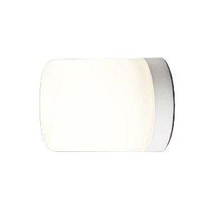 LEDバスルームライト(ランプ別売) TOSHIBA(東芝ライテック) LEDB88920