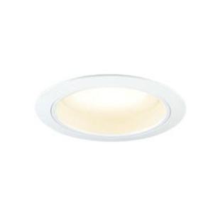 東芝ライテック LEDダウンライト(軒下・ランプ別売) TOSHIBA(東芝