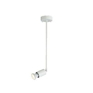 東芝ライテック LEDスポットライト TOSHIBA(東芝ライテック